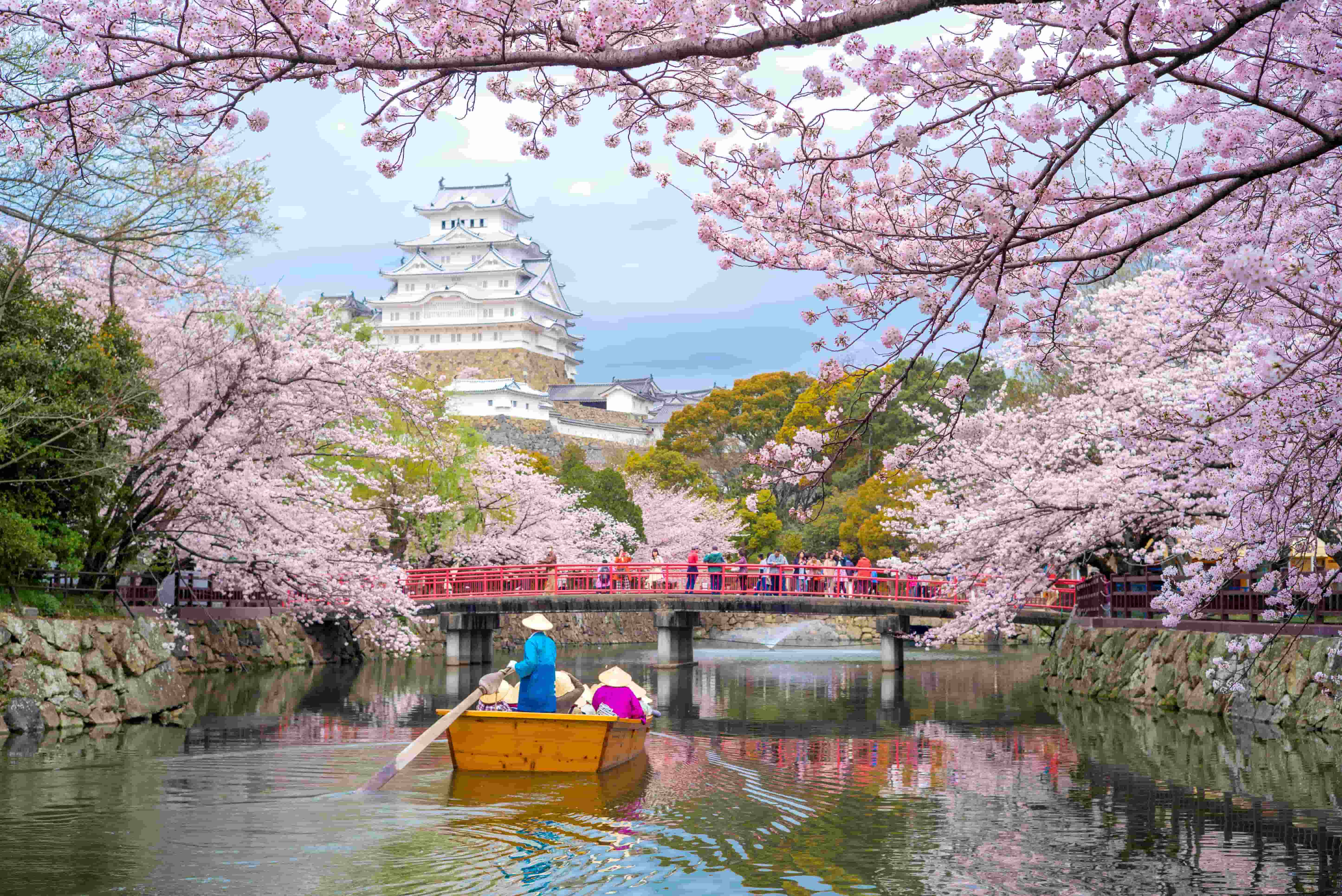 Travel Stress and Severe Menstrual Cramps: Finding Relief in Japan When OTC Meds Fail