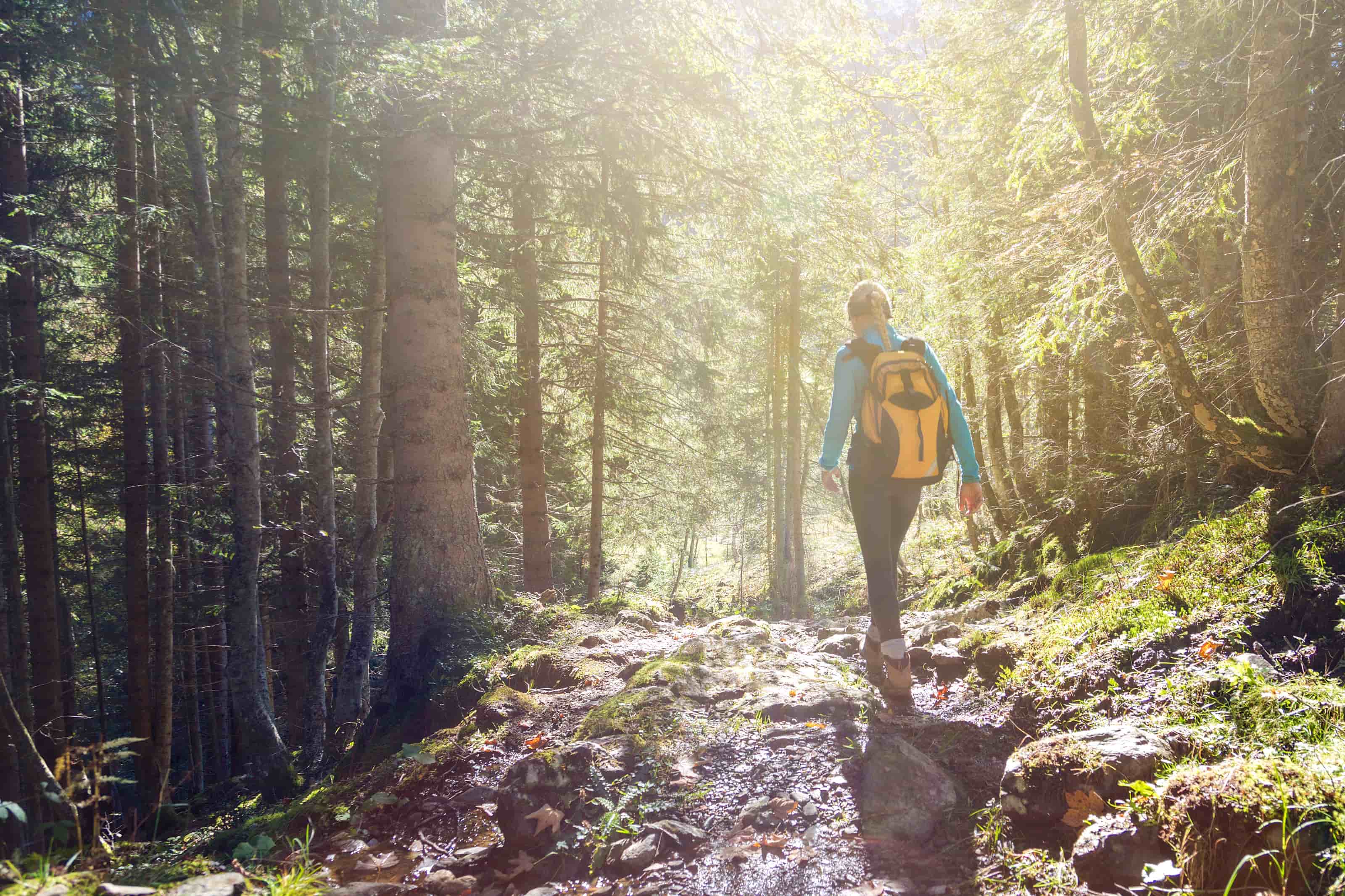 Sweltering Summer Walks and Red, Swollen Bug Bites? First Aid for Skin Infections (Impetigo) in Japan