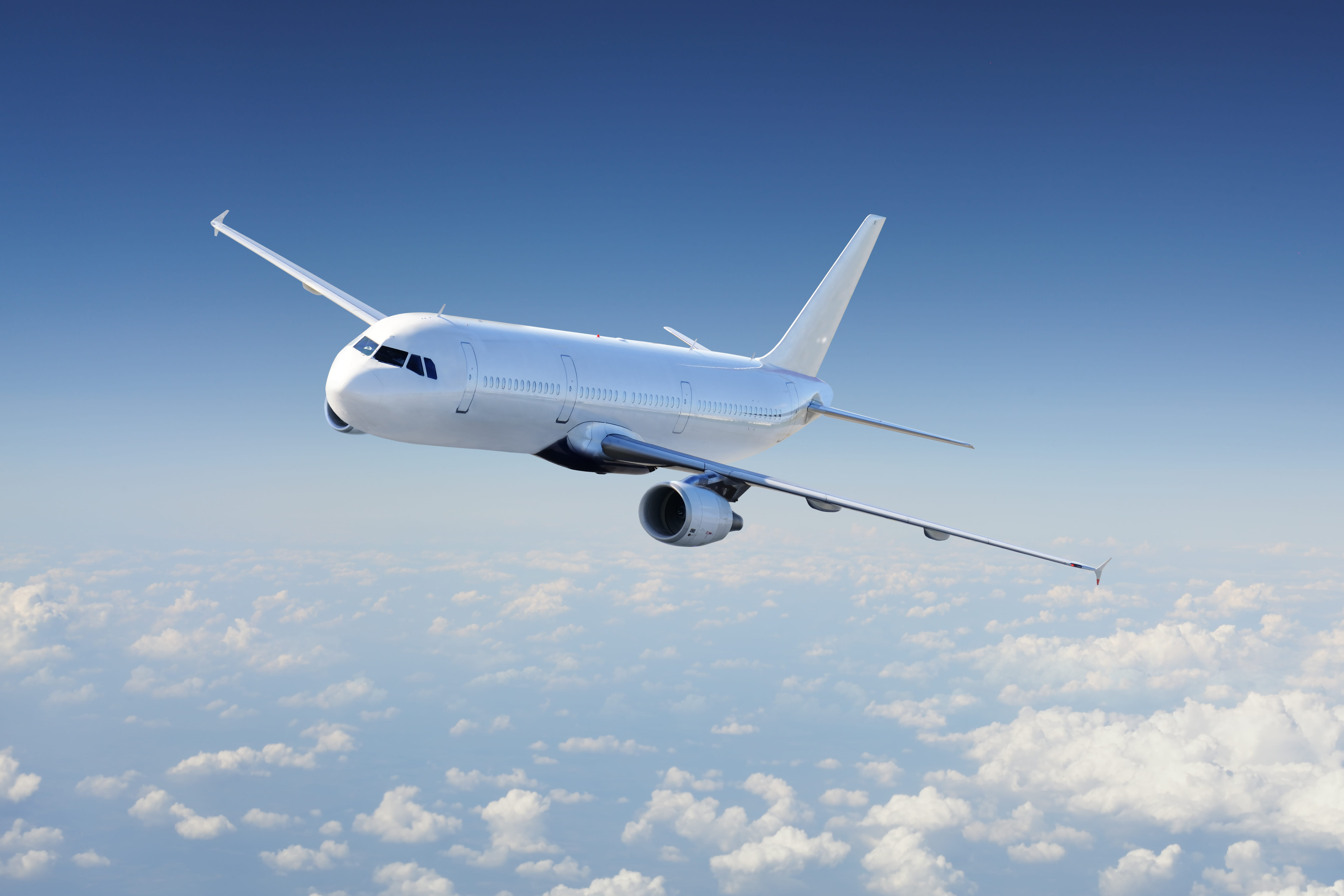 Sick Before Your Flight Home? A Last-Minute Medical Guide for Travelers in Japan